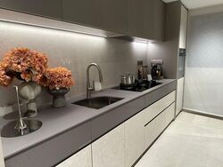Union Square Residences (D1), Condominium #482527871